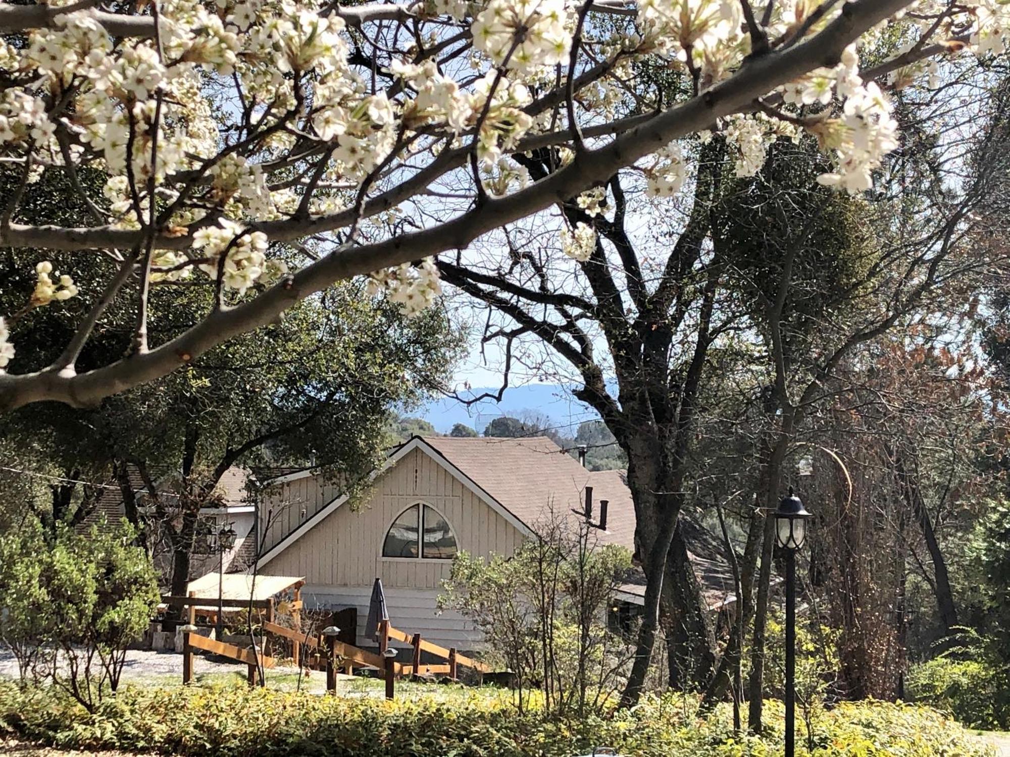 Sierra Mountain Lodge - Vacation Rentals - Yosemite Ahwahnee Exterior foto